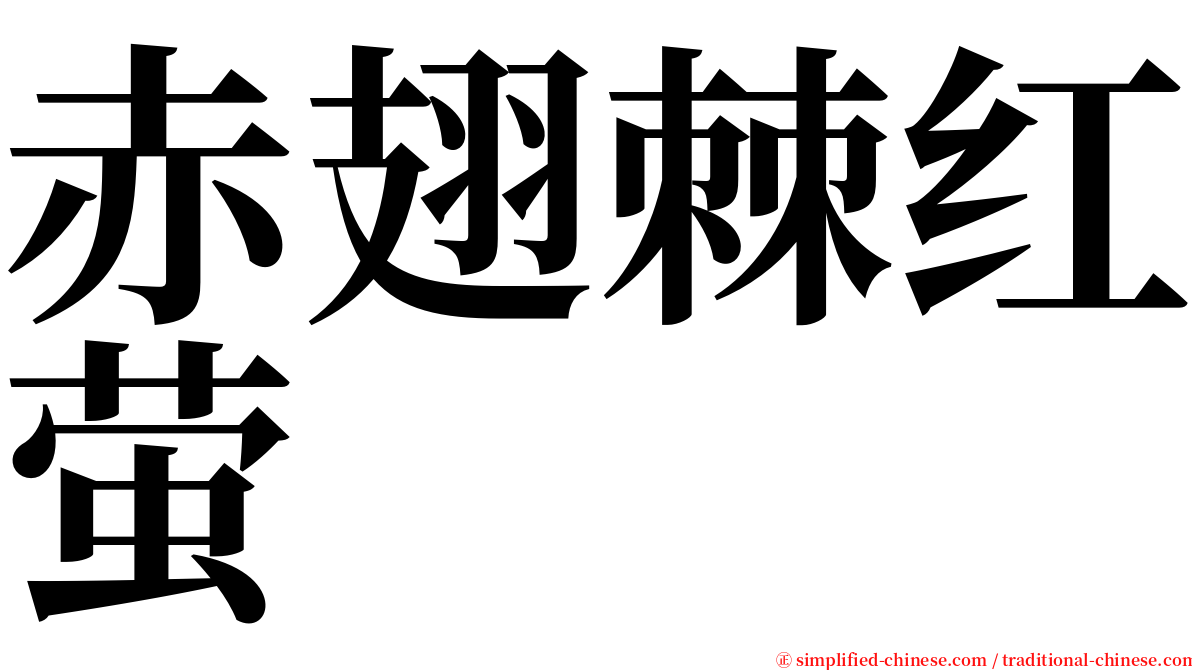 赤翅棘红萤 serif font