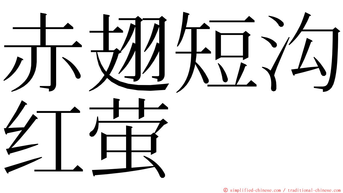 赤翅短沟红萤 ming font