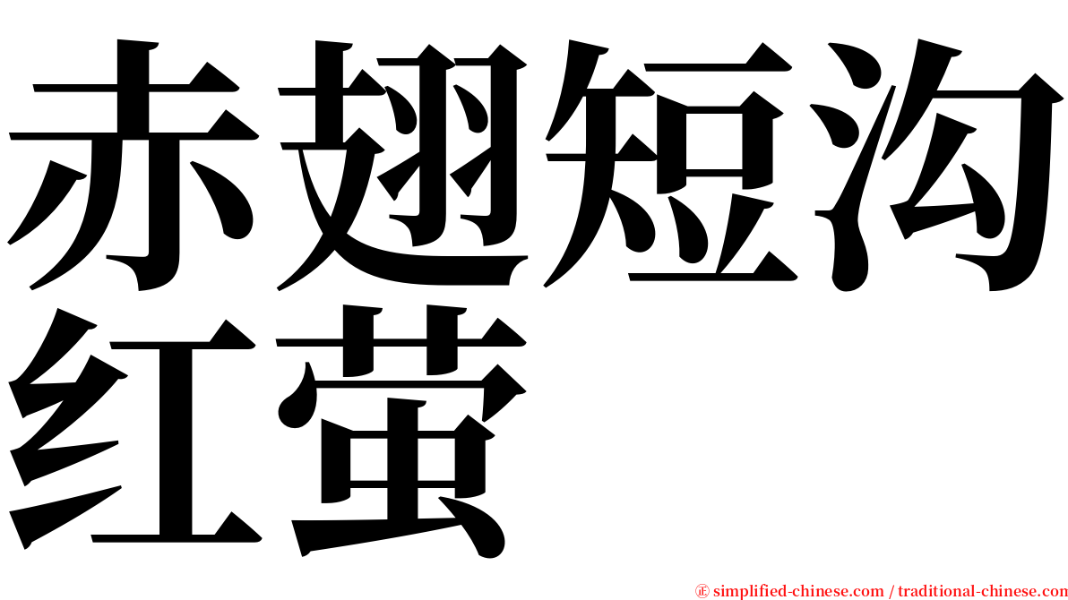 赤翅短沟红萤 serif font