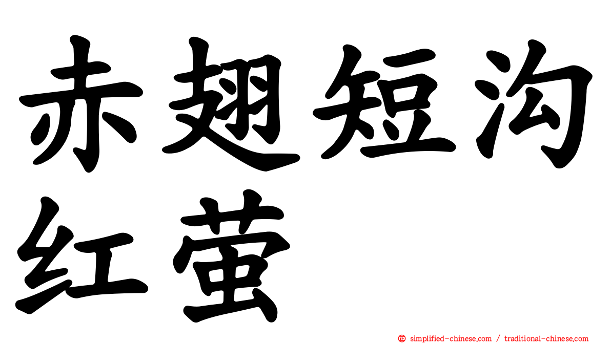 赤翅短沟红萤
