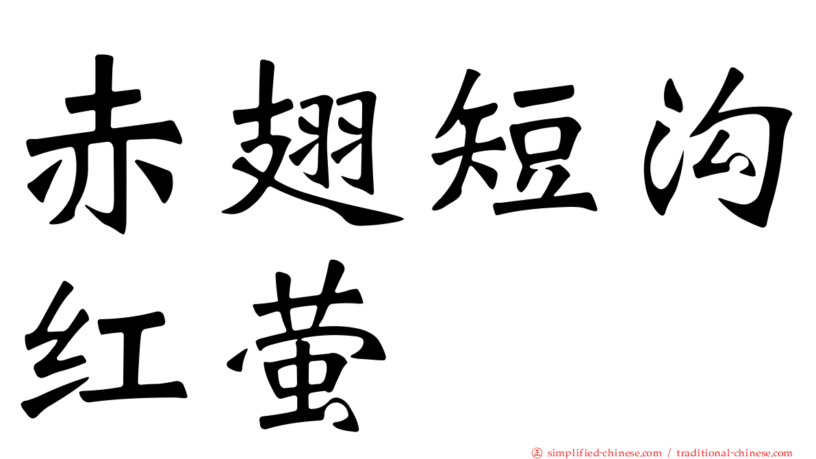 赤翅短沟红萤