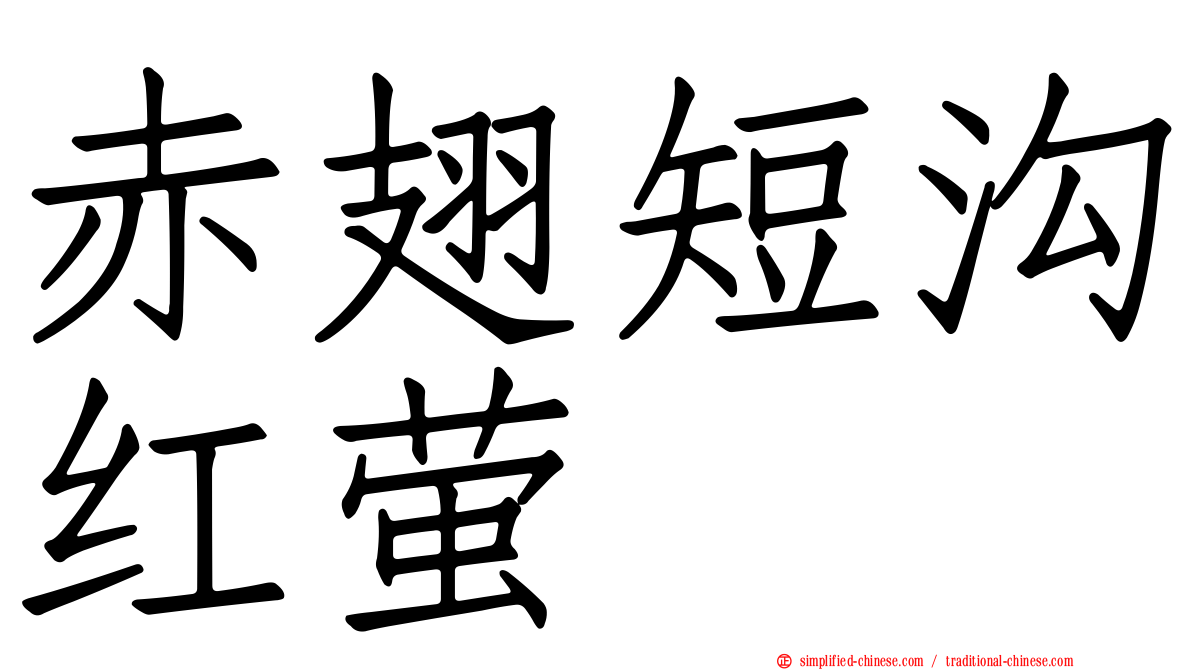 赤翅短沟红萤