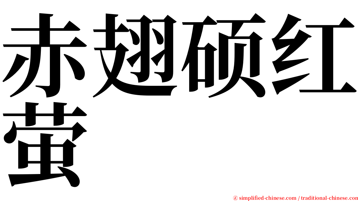 赤翅硕红萤 serif font