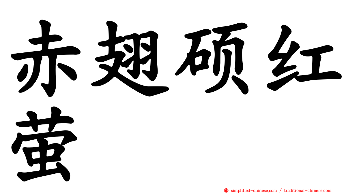 赤翅硕红萤