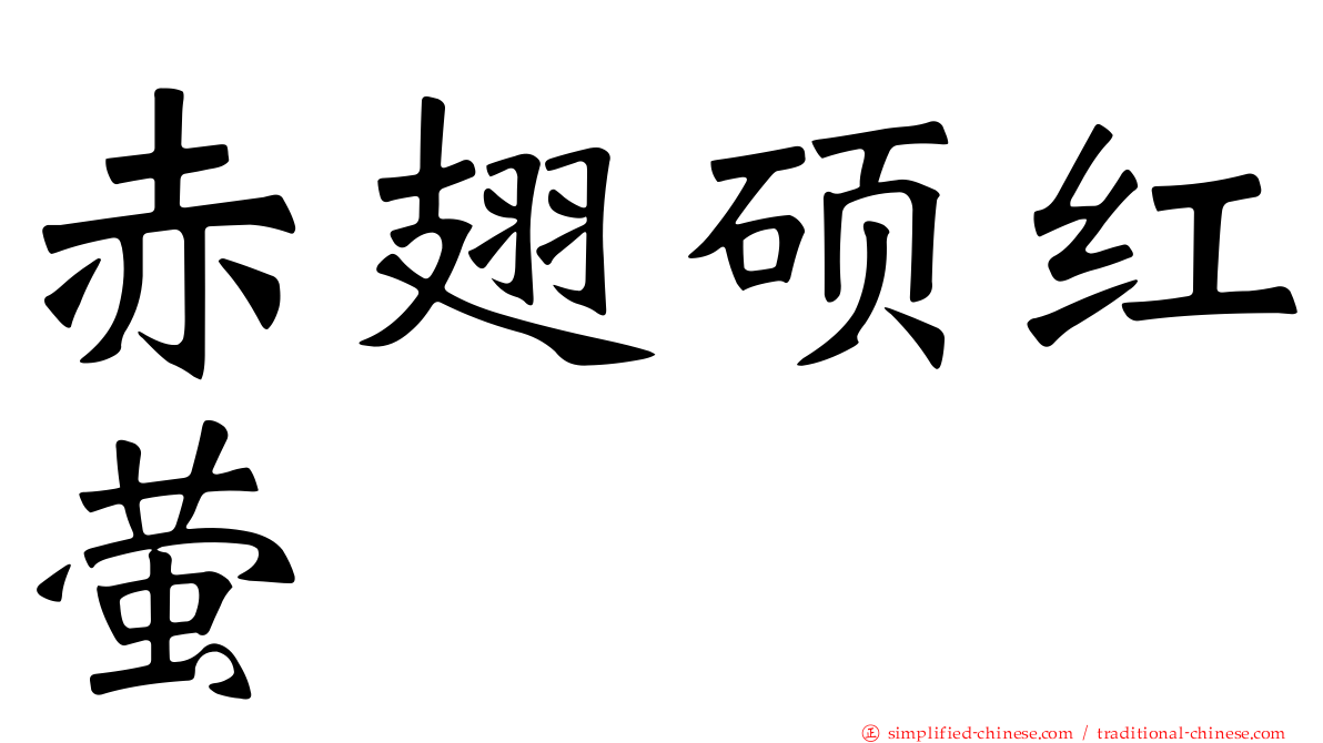 赤翅硕红萤