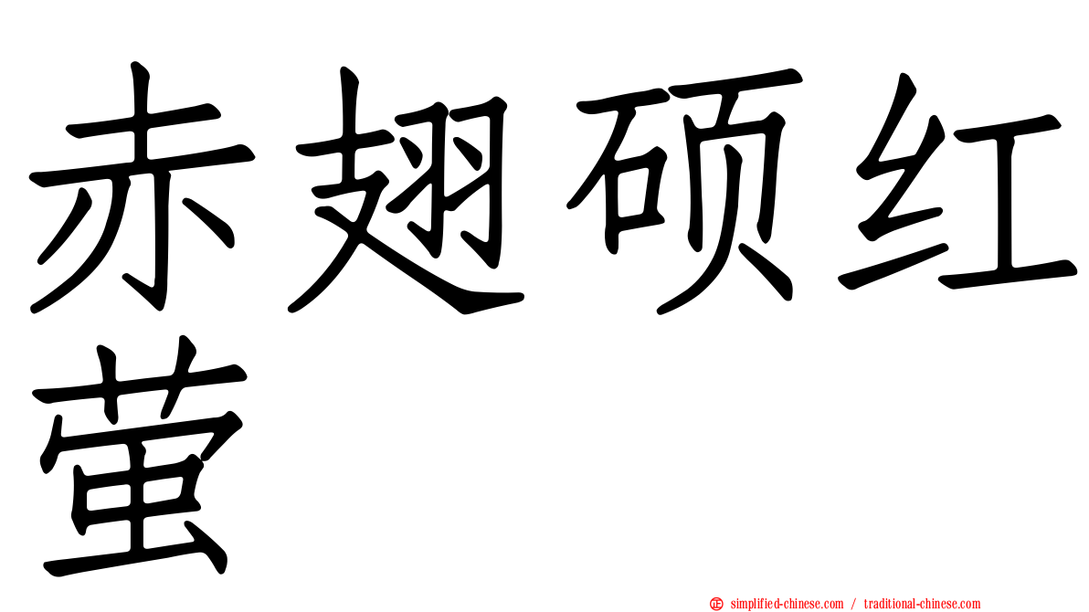 赤翅硕红萤