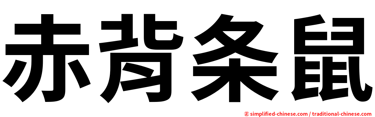 赤背条鼠