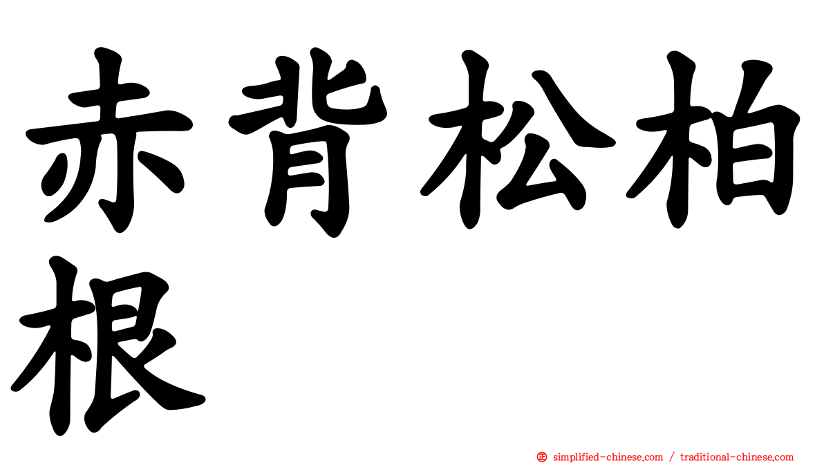 赤背松柏根