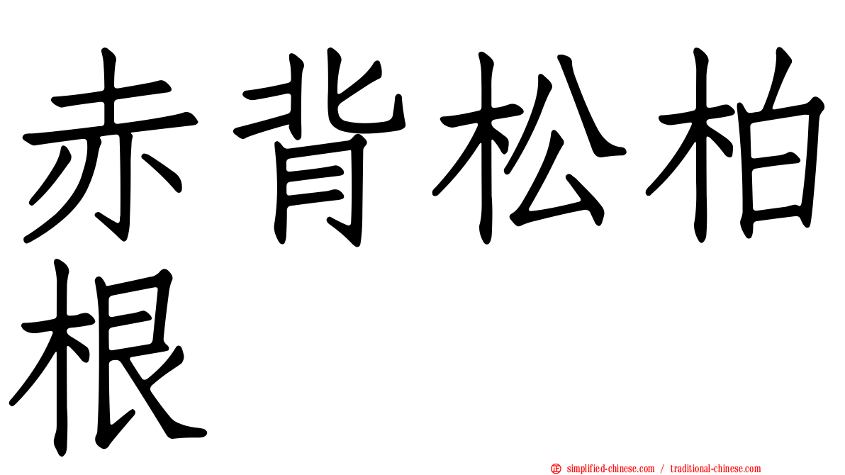 赤背松柏根