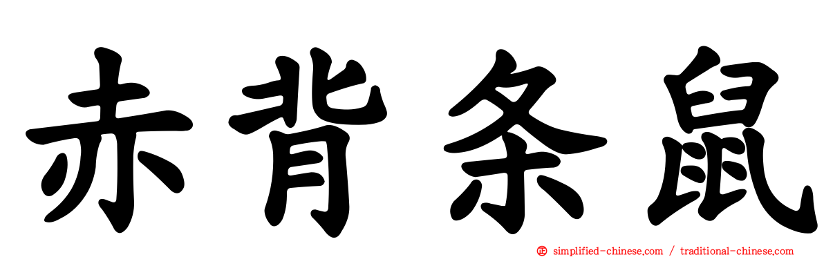 赤背条鼠