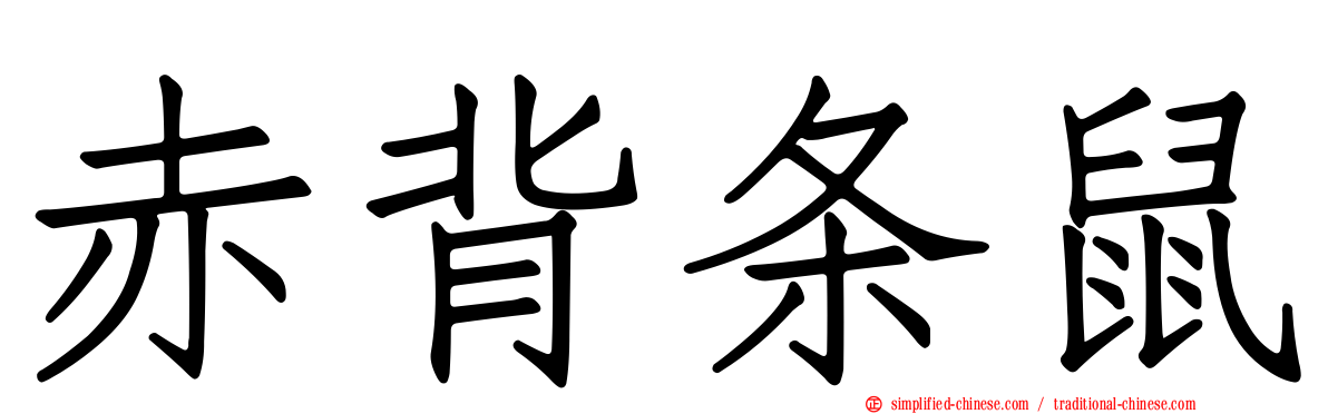 赤背条鼠
