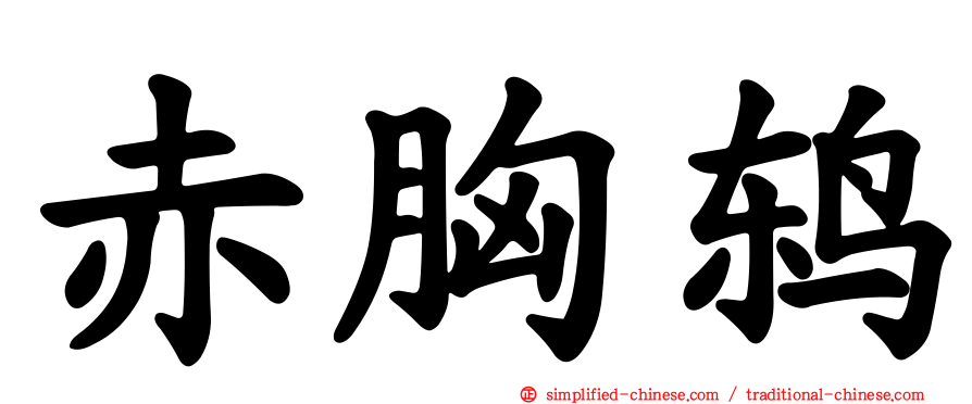 赤胸鸫
