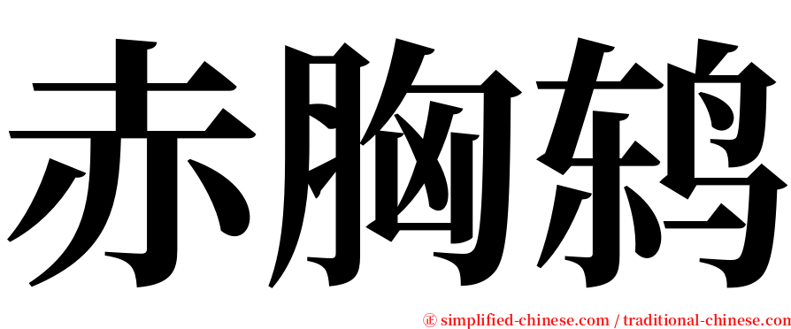 赤胸鸫 serif font