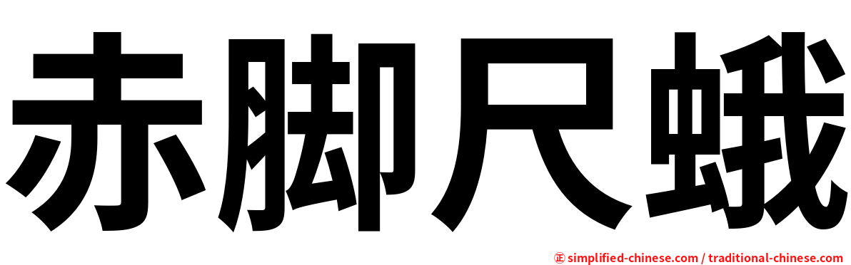 赤脚尺蛾