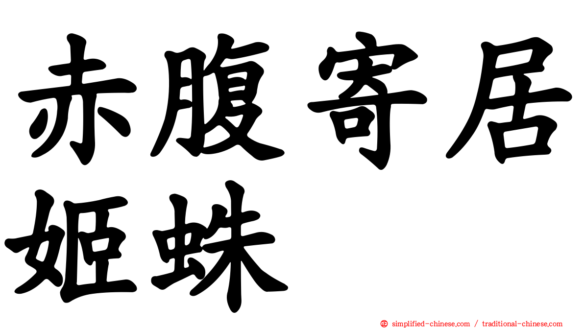 赤腹寄居姬蛛