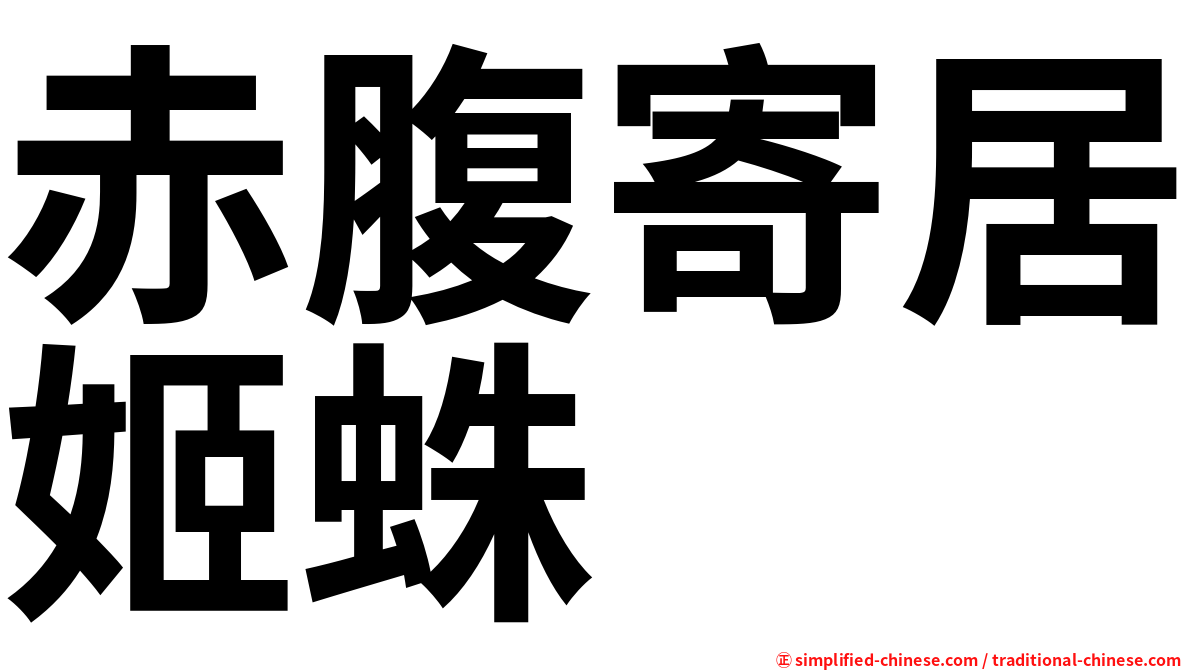 赤腹寄居姬蛛