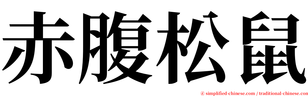 赤腹松鼠 serif font