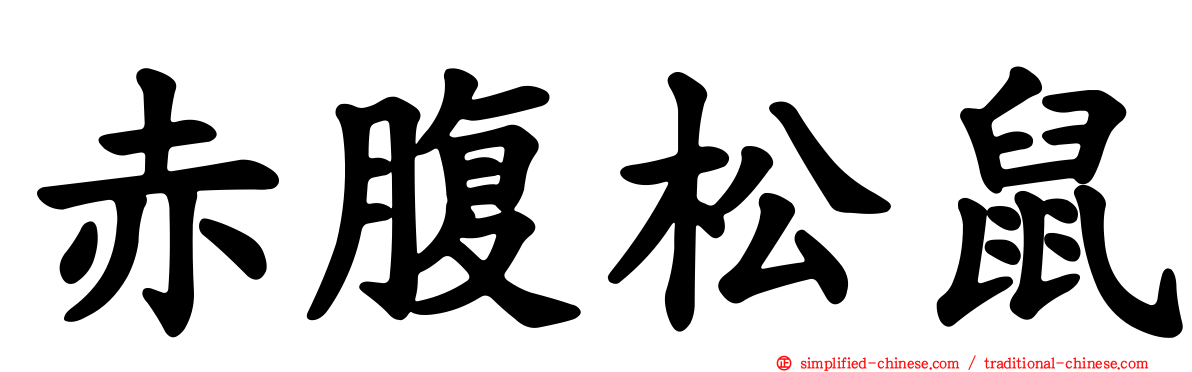 赤腹松鼠