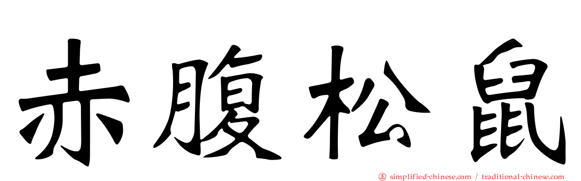 赤腹松鼠