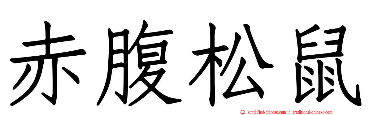 赤腹松鼠
