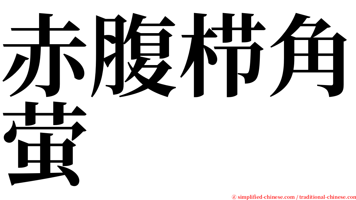 赤腹栉角萤 serif font