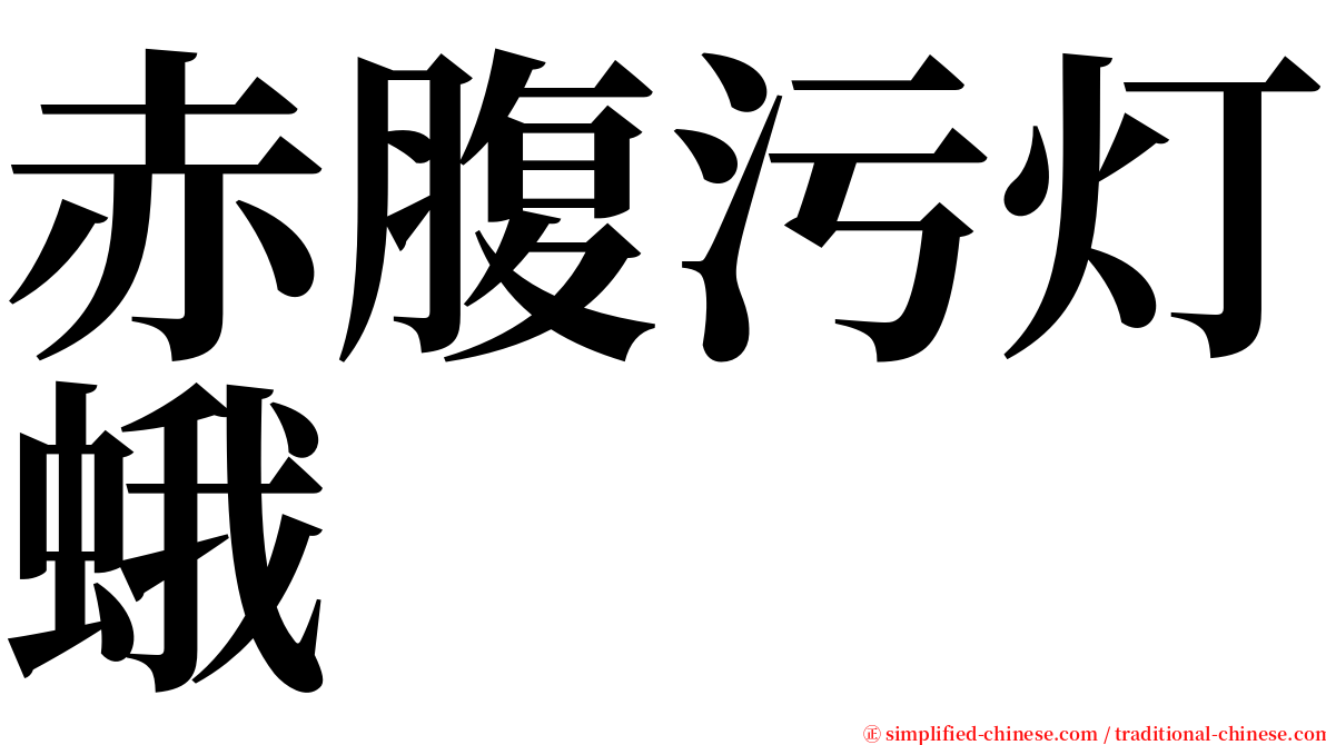 赤腹污灯蛾 serif font