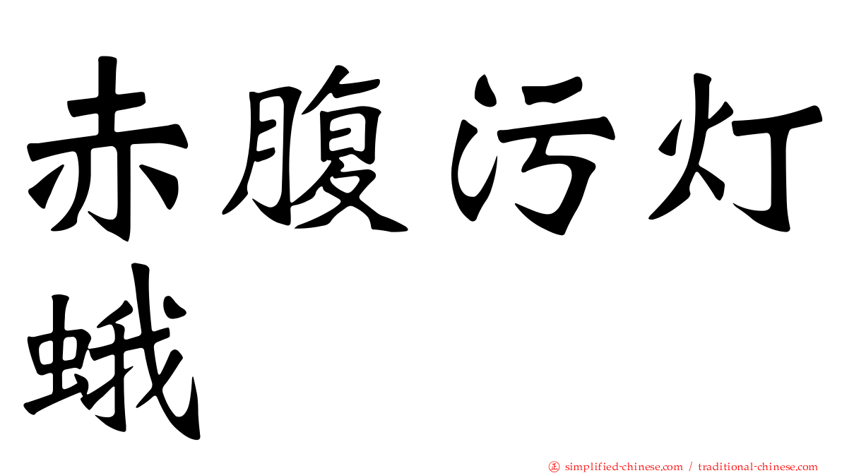 赤腹污灯蛾