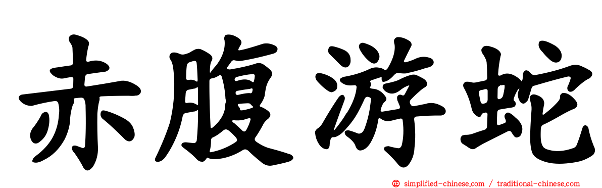 赤腹游蛇