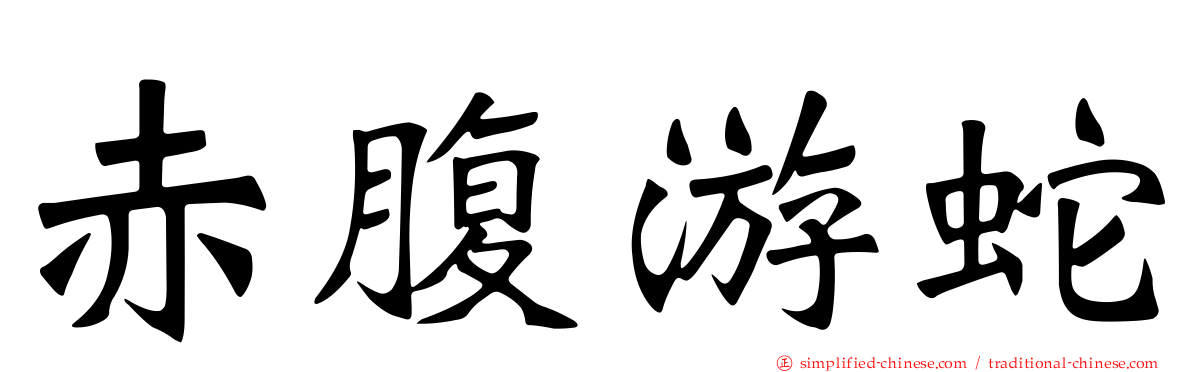 赤腹游蛇