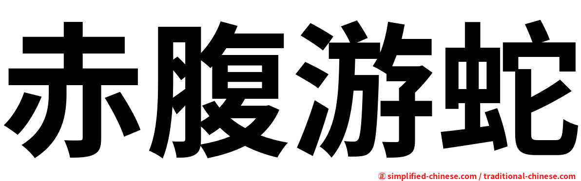 赤腹游蛇