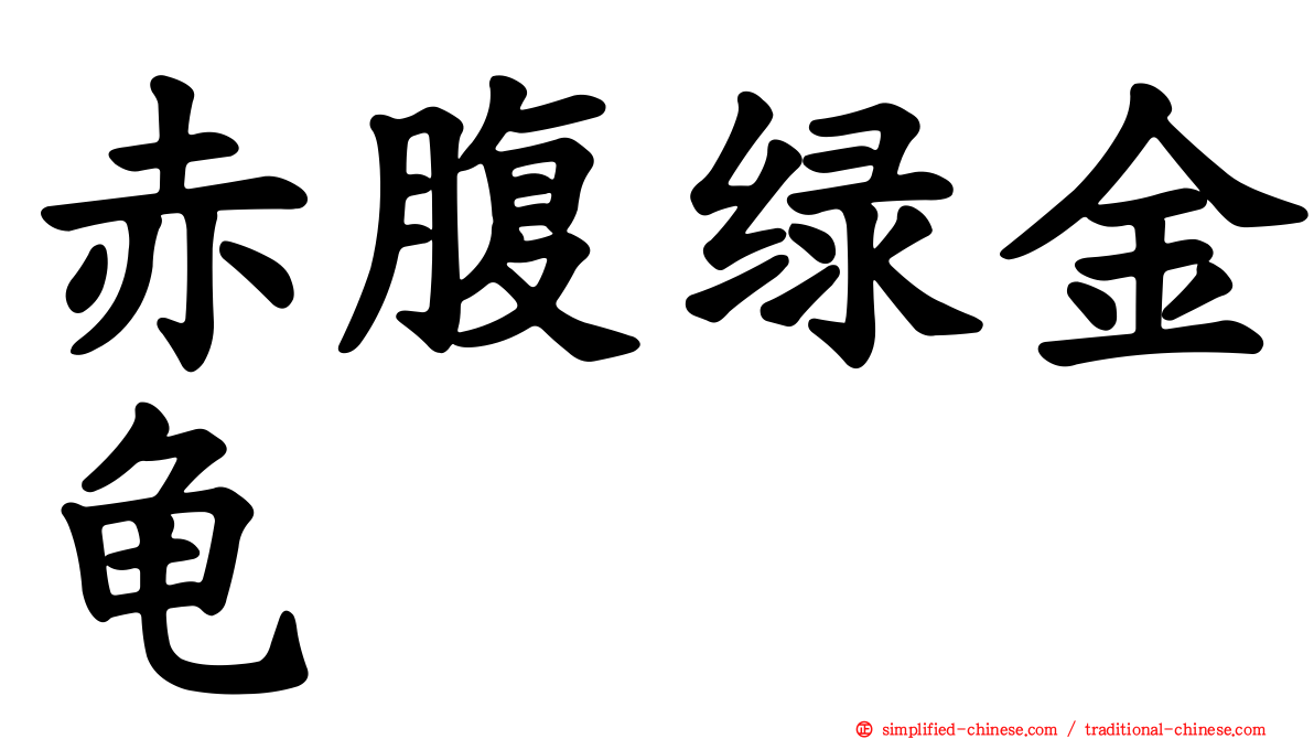 赤腹绿金龟