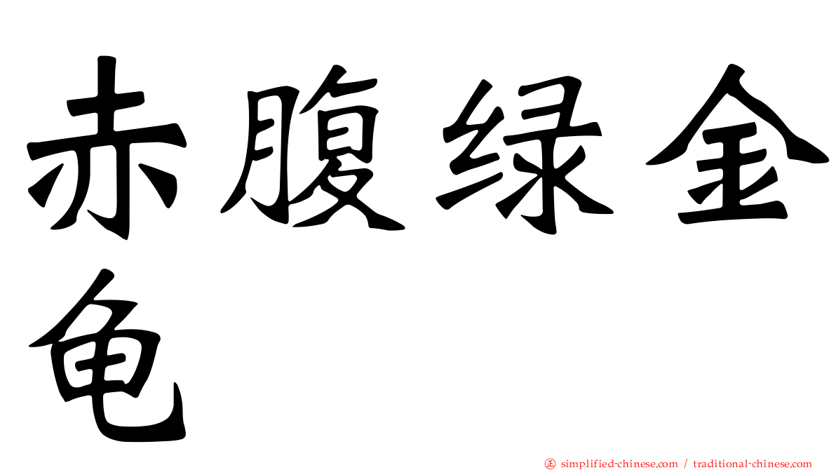 赤腹绿金龟