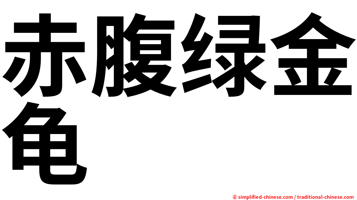 赤腹绿金龟