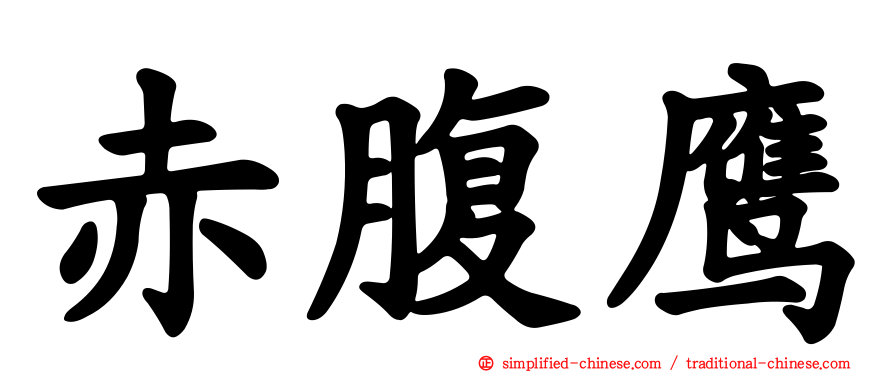 赤腹鹰