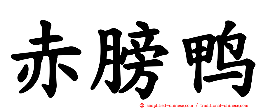 赤膀鸭