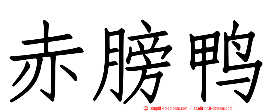 赤膀鸭