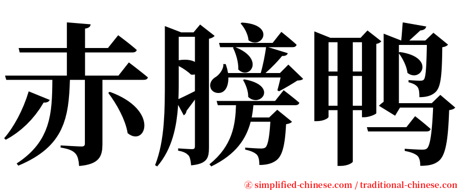 赤膀鸭 serif font