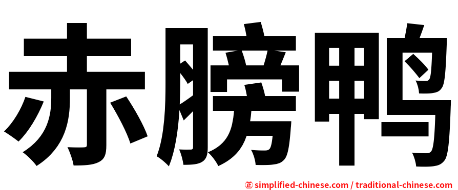 赤膀鸭