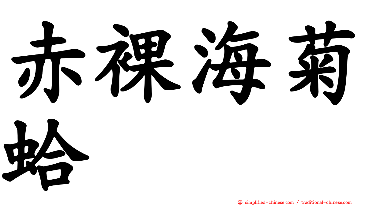 赤裸海菊蛤