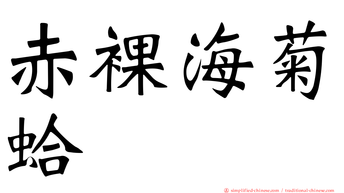 赤裸海菊蛤