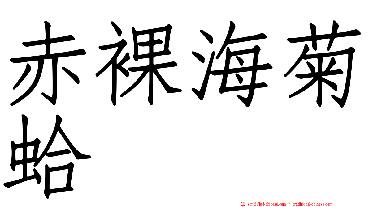 赤裸海菊蛤