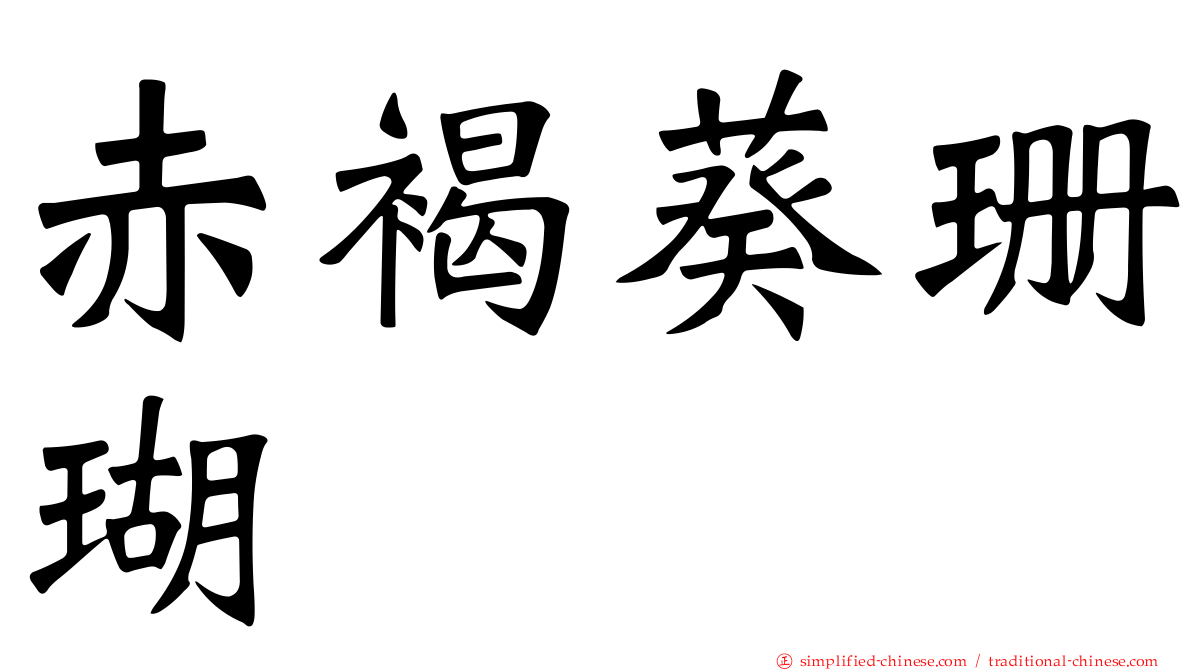 赤褐葵珊瑚