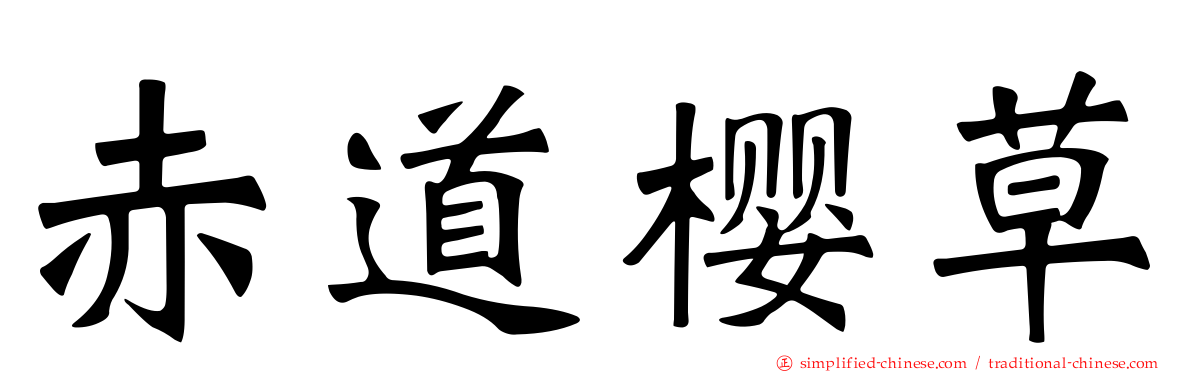赤道樱草