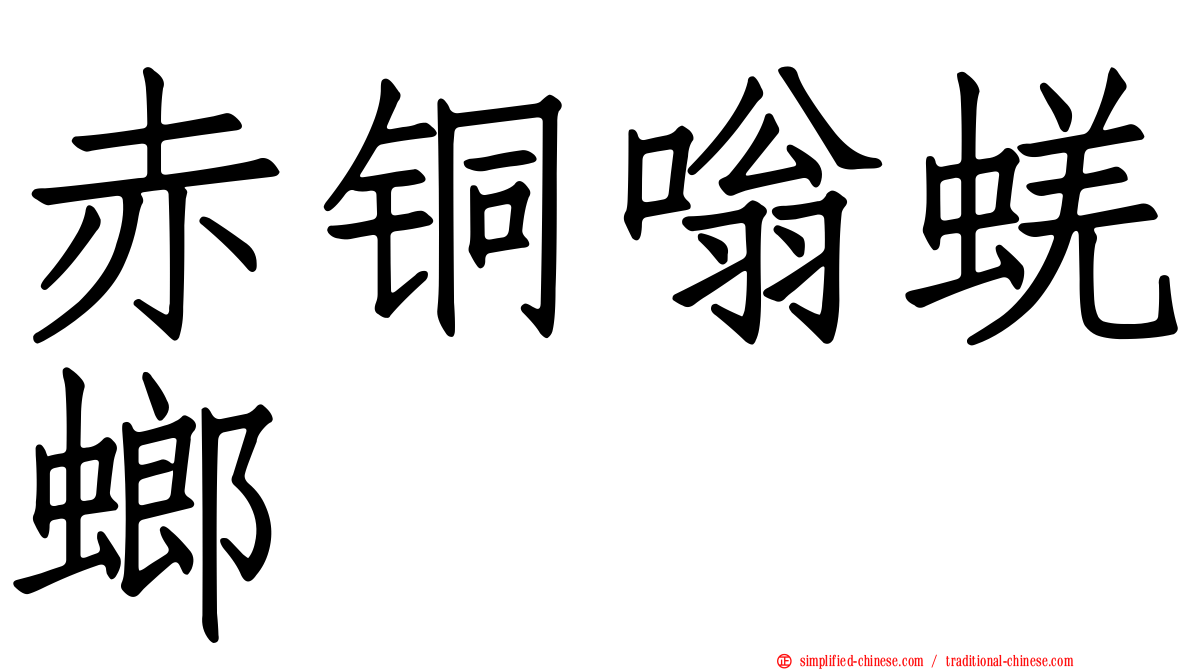 赤铜嗡蜣螂