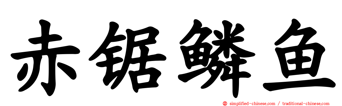 赤锯鳞鱼