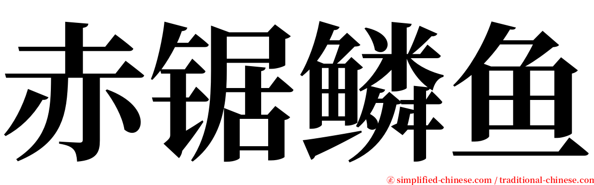 赤锯鳞鱼 serif font