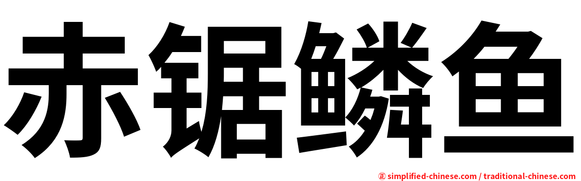 赤锯鳞鱼