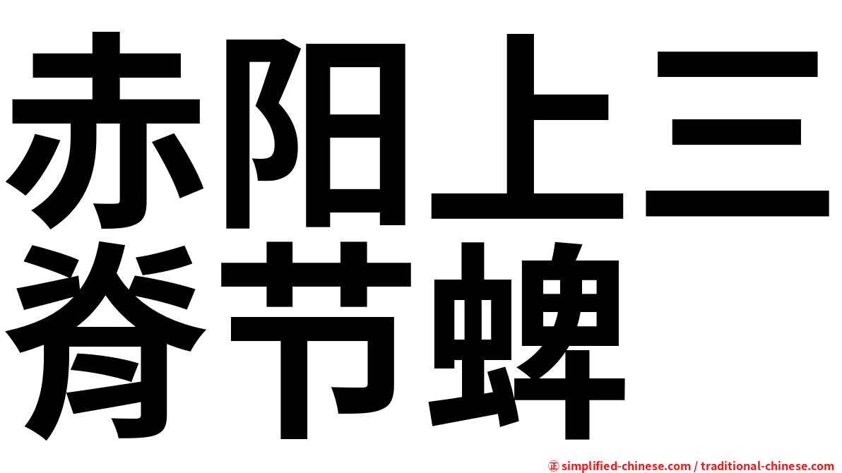 赤阳上三脊节蜱
