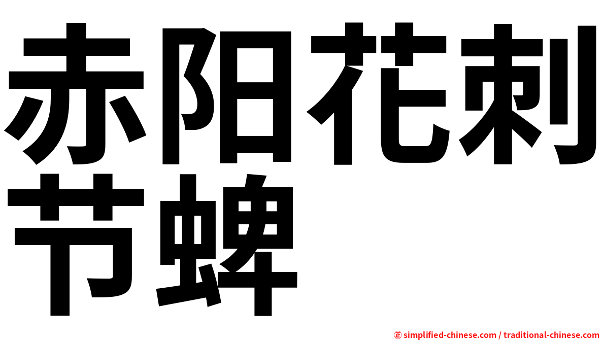 赤阳花刺节蜱