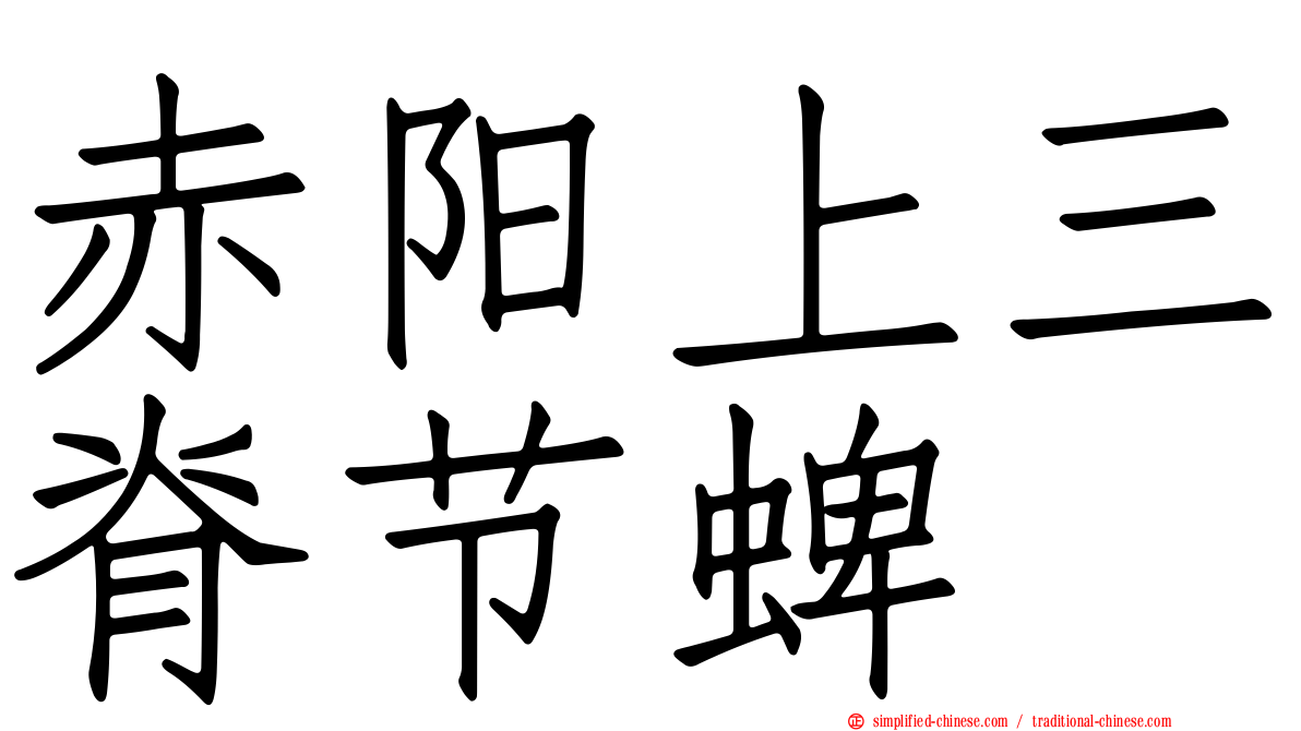 赤阳上三脊节蜱